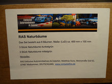 Load image into Gallery viewer, Versandbox Modellbau Naturbäume hellgrün dunkelgrün RAS