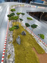 Cargar imagen en el visor de la galería, Modellbau Rennbahn mit Curbs und Naturbäumen