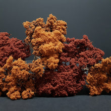Carregar imagem no visualizador da galeria, Naturbäume Herbst Modellbau