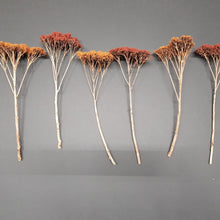 Laden Sie das Bild in den Galerie-Viewer, Modellbau Naturbäume Herbst RAS